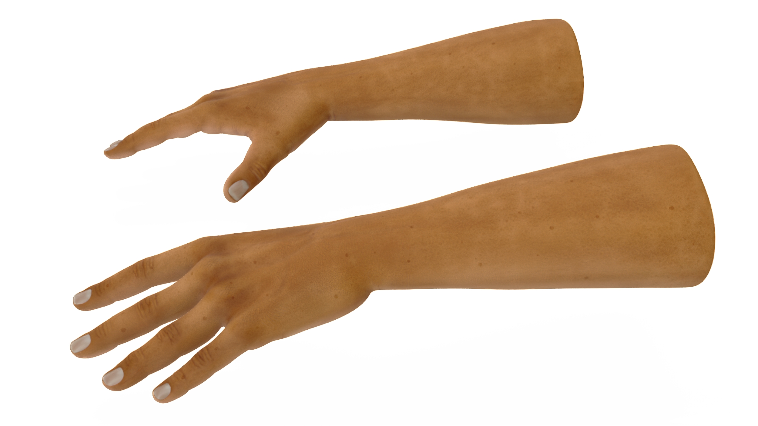 3D European Man Hands Base Pose model
