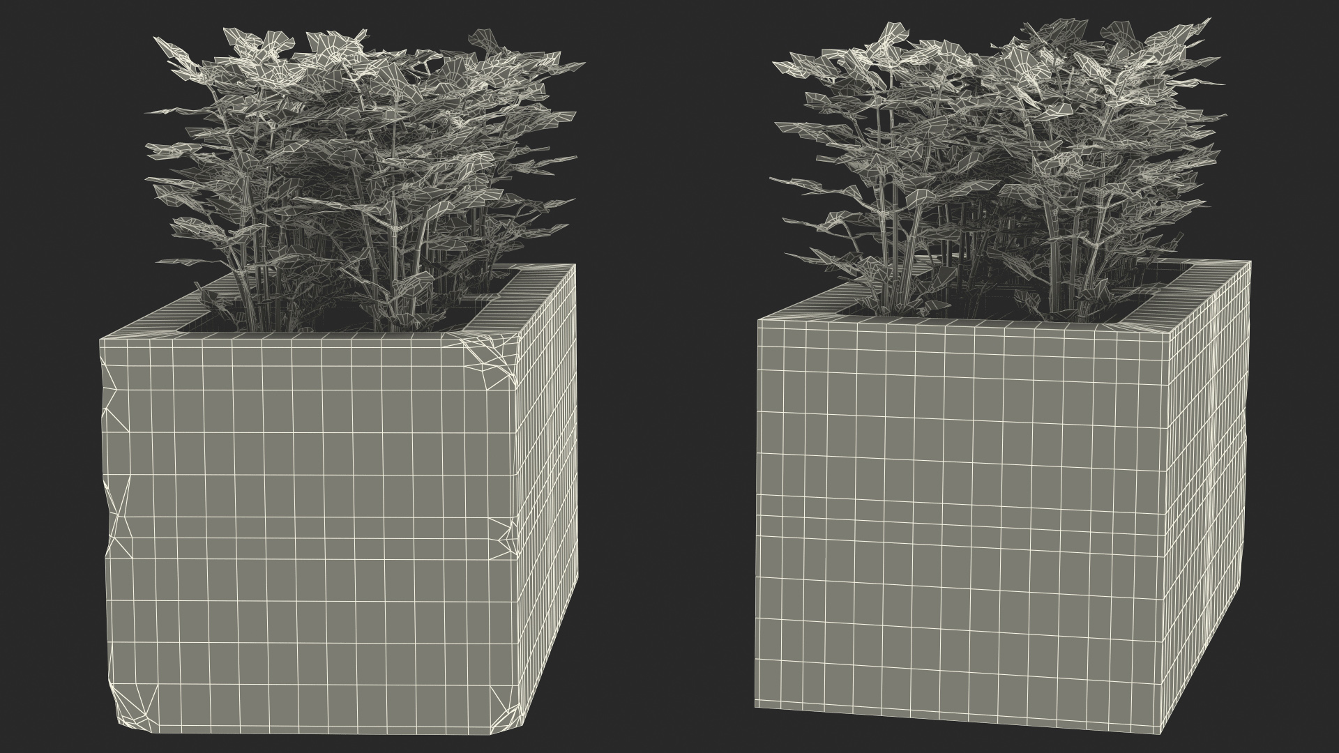 Cinder Block Garden with Parsley 3D