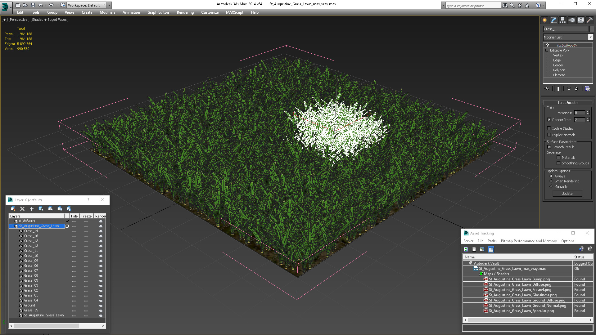 3D St Augustine Grass Lawn model