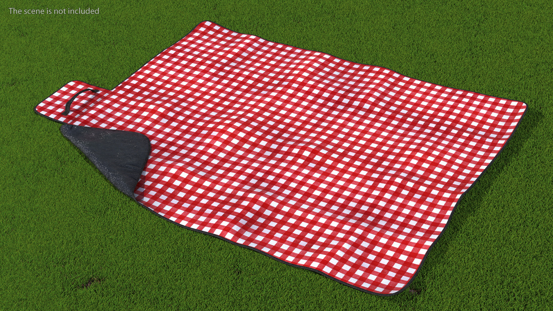 Outdoor Picnic Blanket 3D