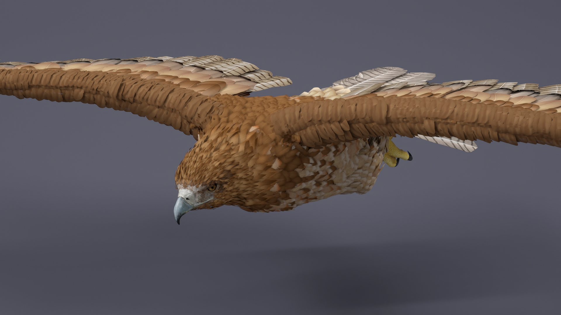 Realistic Flying Gurney Eagle 3D model