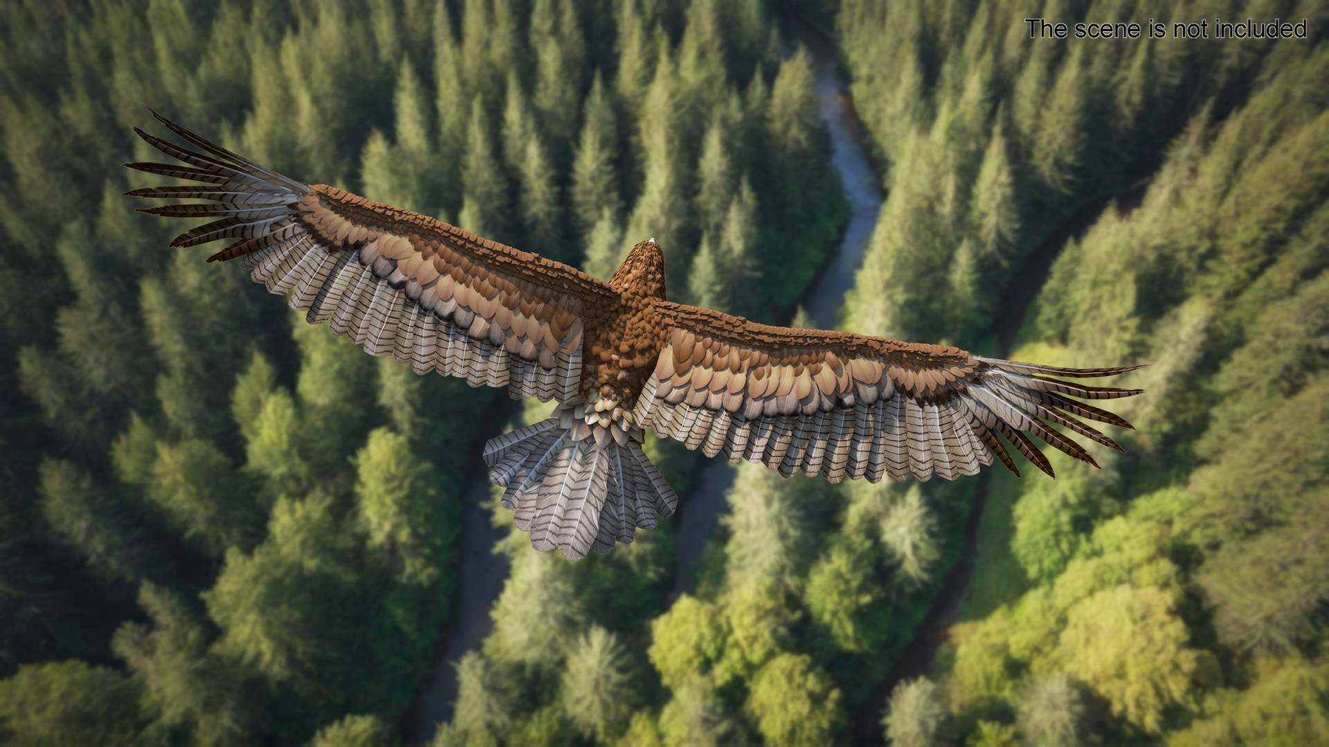 Realistic Flying Gurney Eagle 3D model