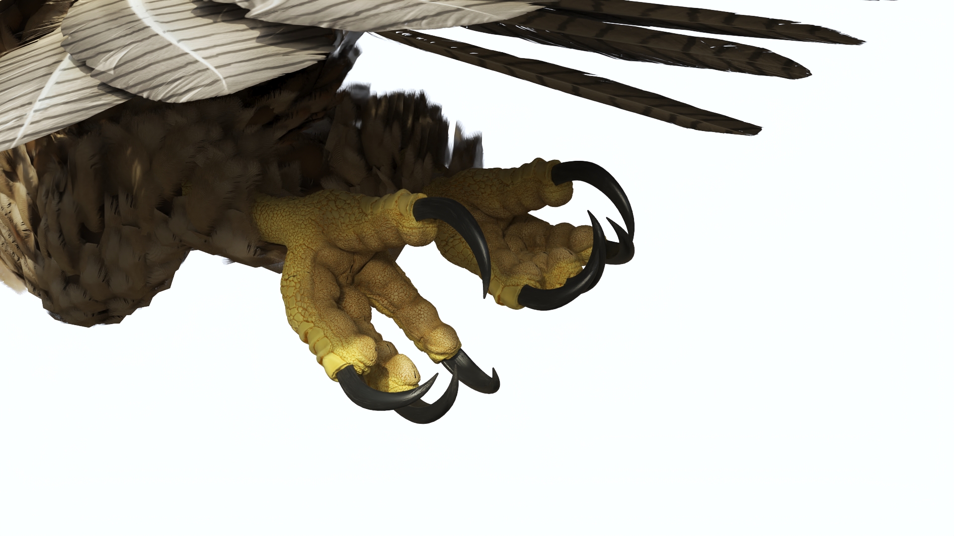 Realistic Flying Gurney Eagle 3D model