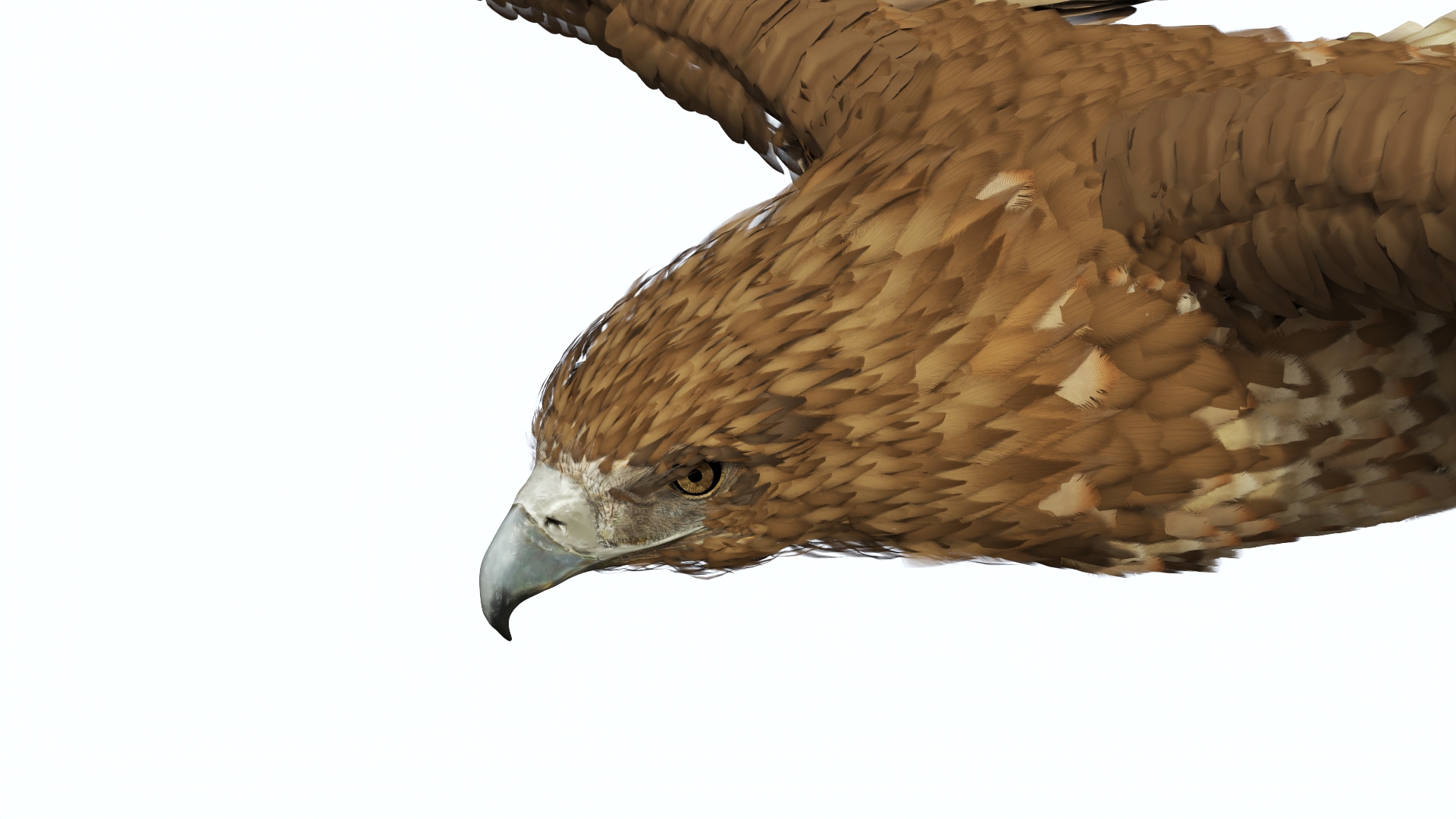 Realistic Flying Gurney Eagle 3D model