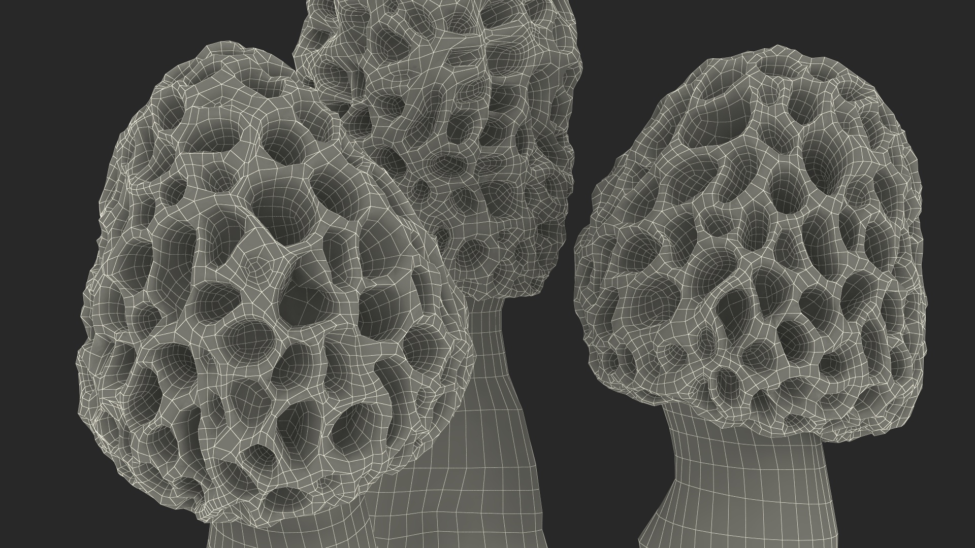 3D model Morel Mushrooms