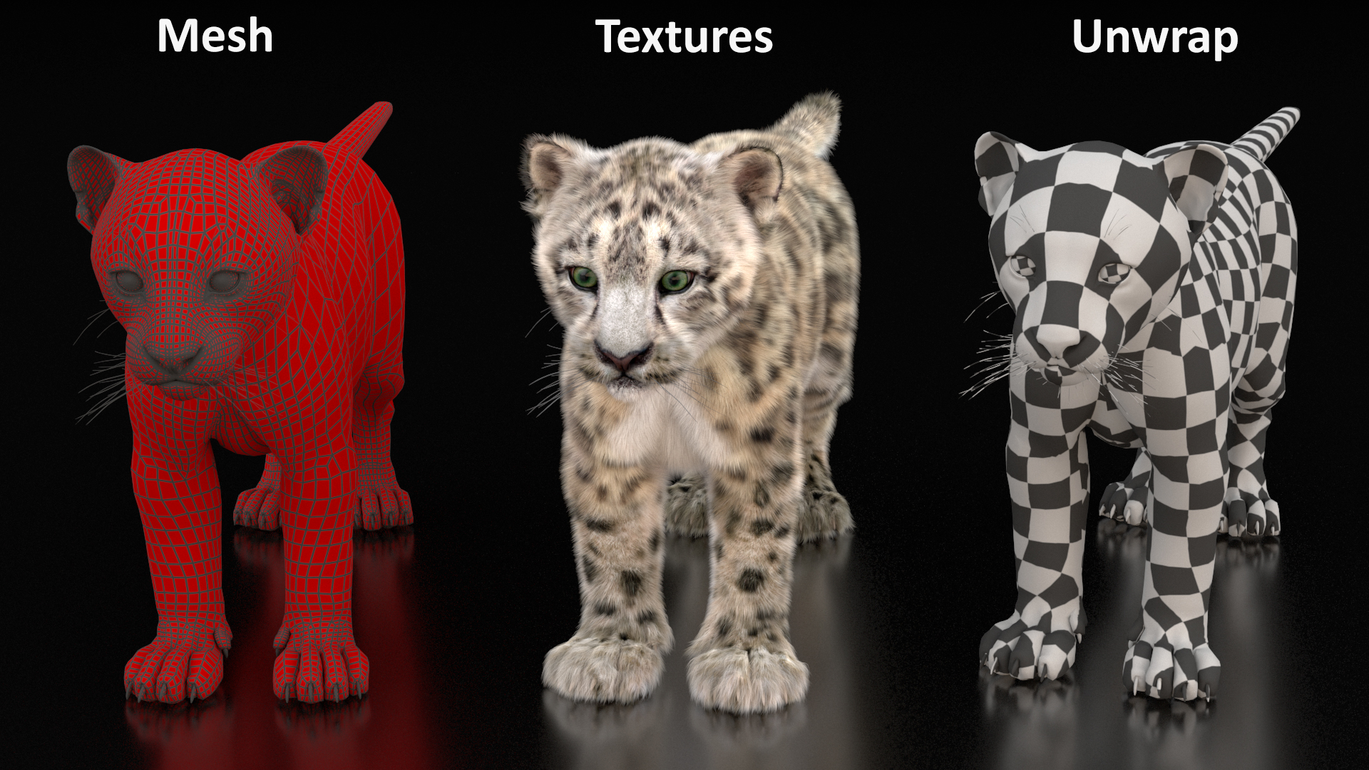 3D model Snow Leopard Cub Fur
