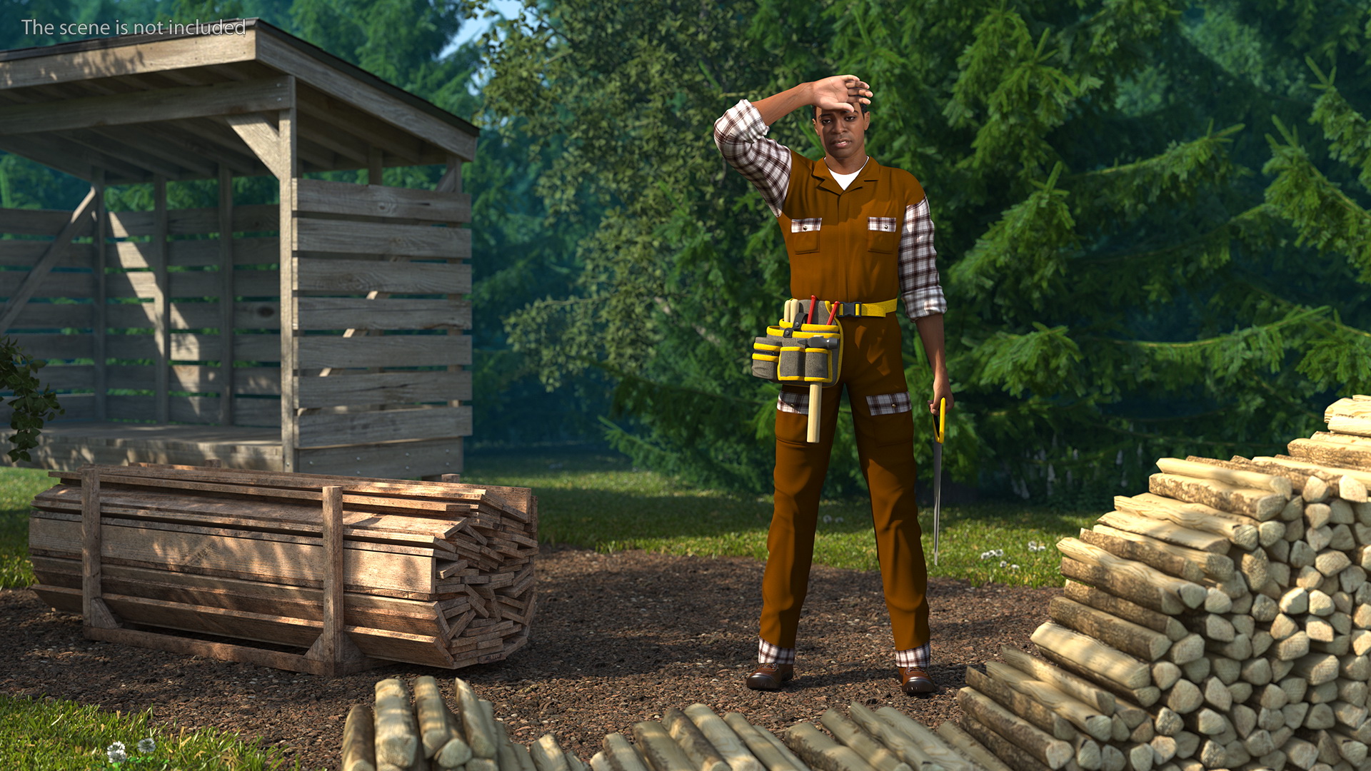 Afro American Woodworker 3D model