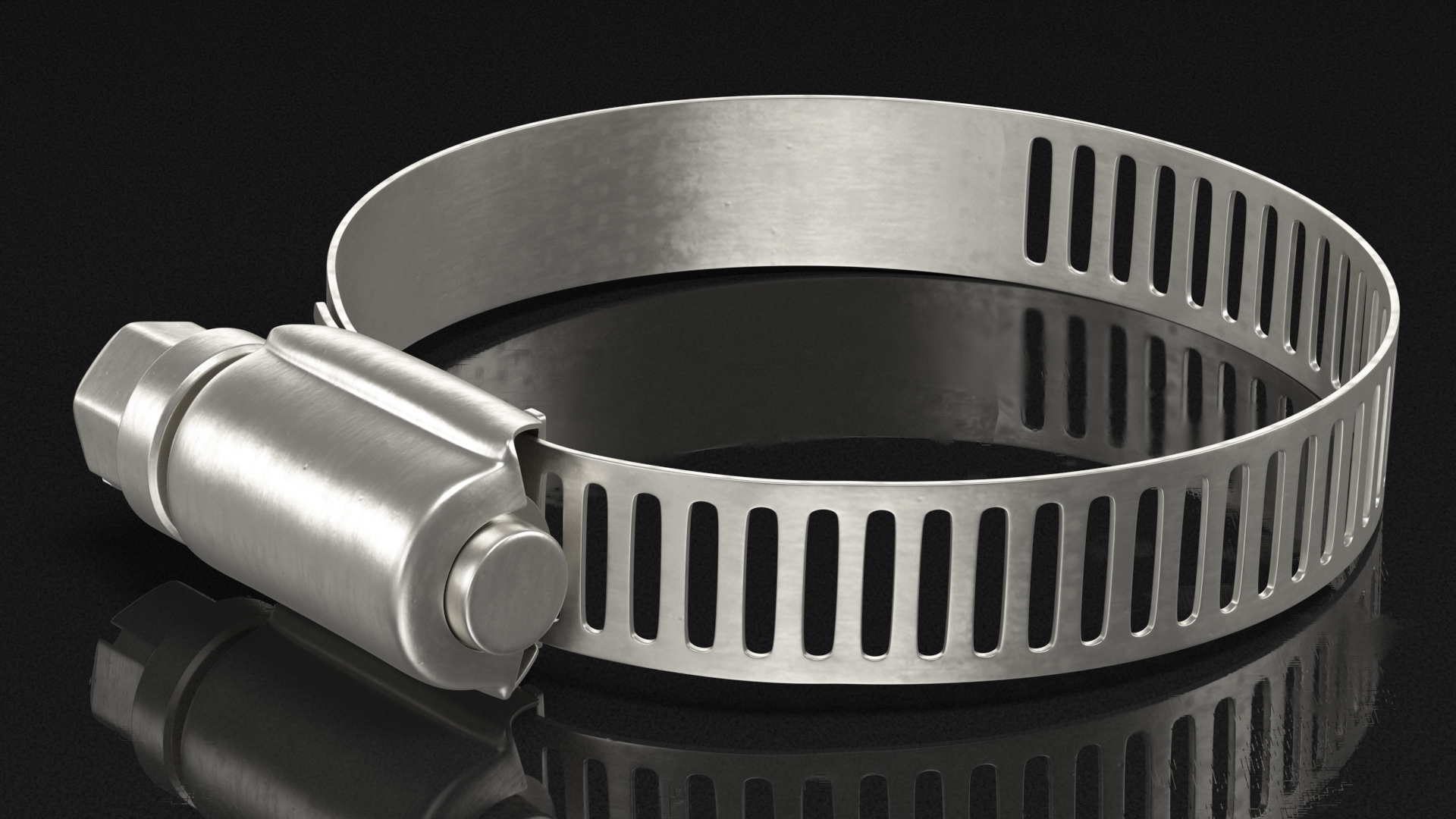 3D Hose Clamp Stainless Steel Assortment Set