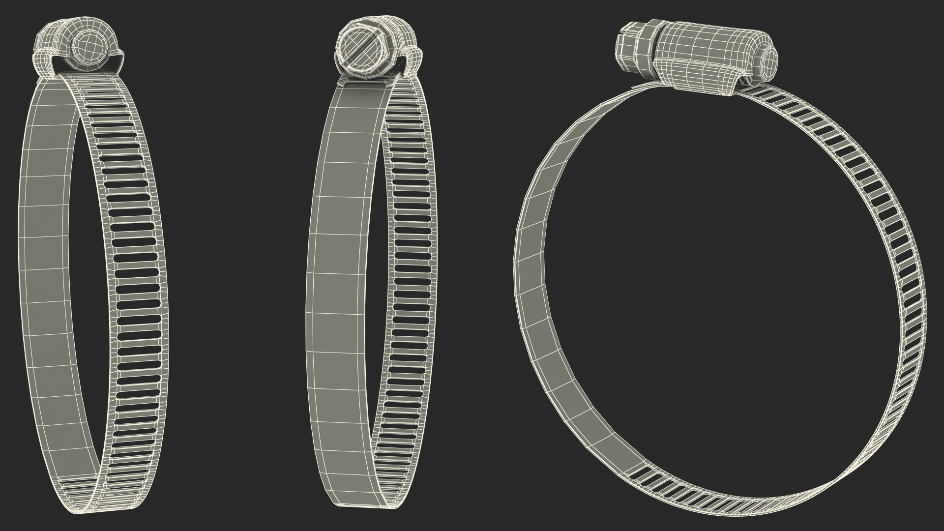 3D Hose Clamp Stainless Steel Assortment Set
