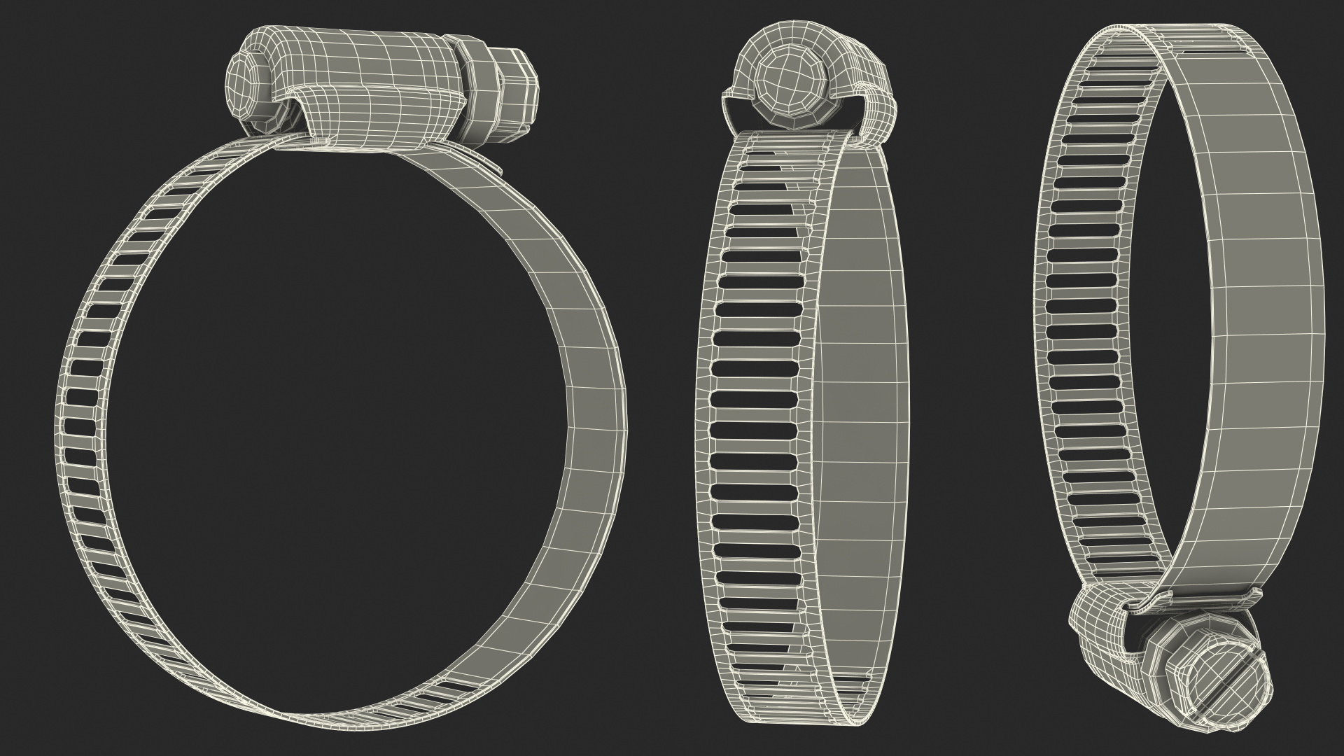 3D Hose Clamp Stainless Steel Assortment Set