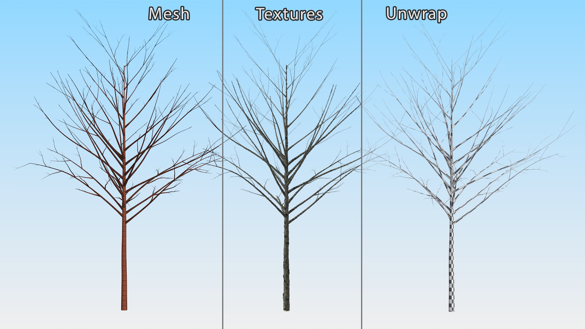 3D Bare Winter Tree