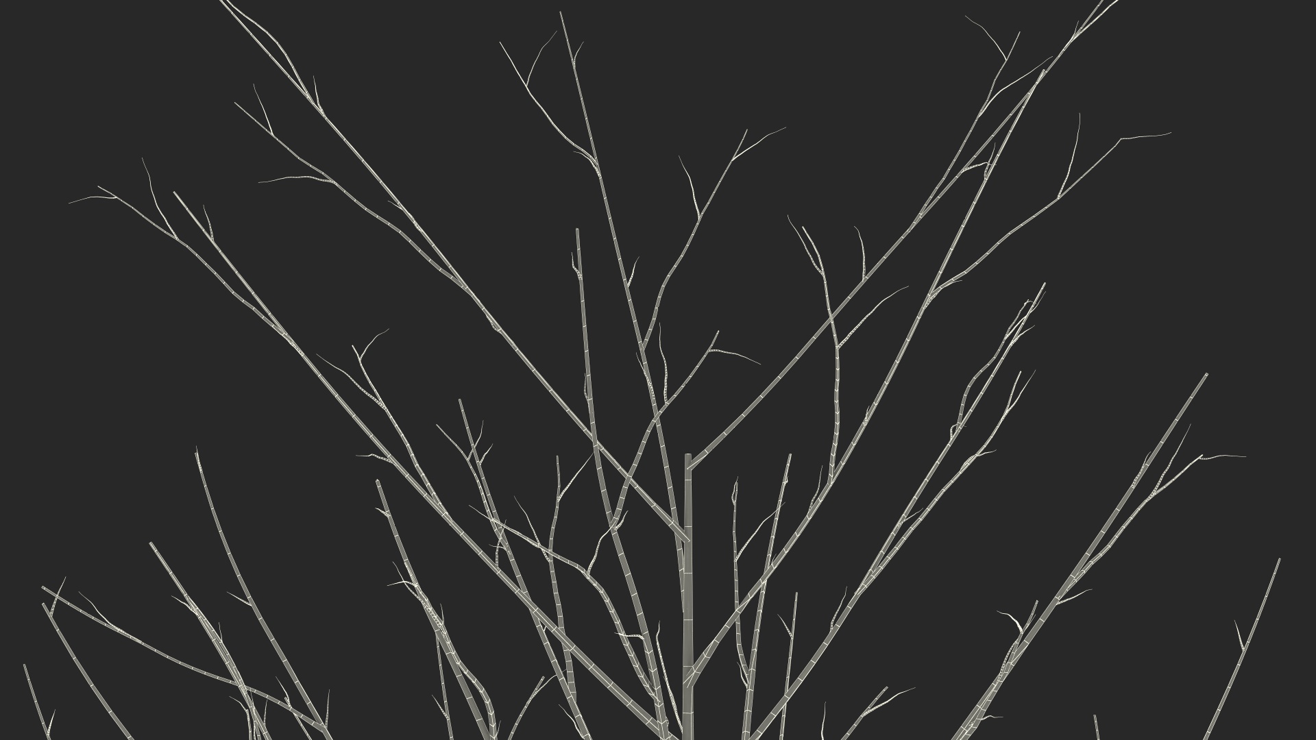 3D Bare Winter Tree