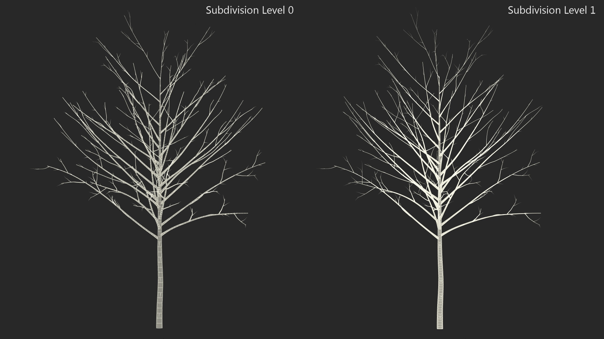 3D Bare Winter Tree