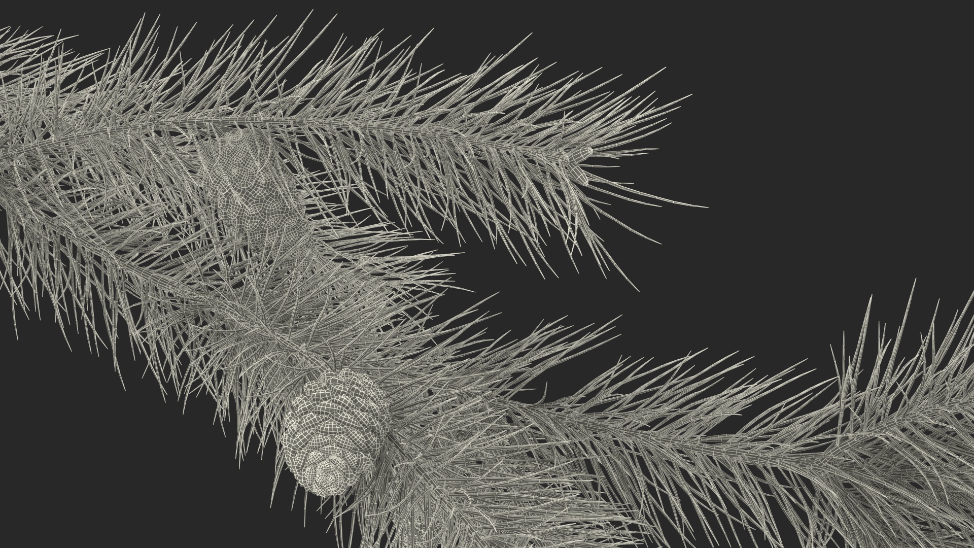 Pine Branch with Cones 3D