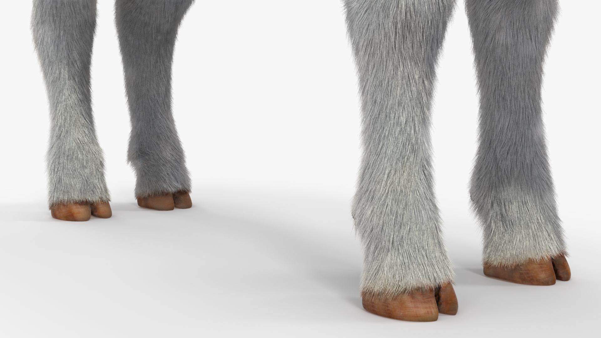 Cow Calf Fur Rigged 3D model