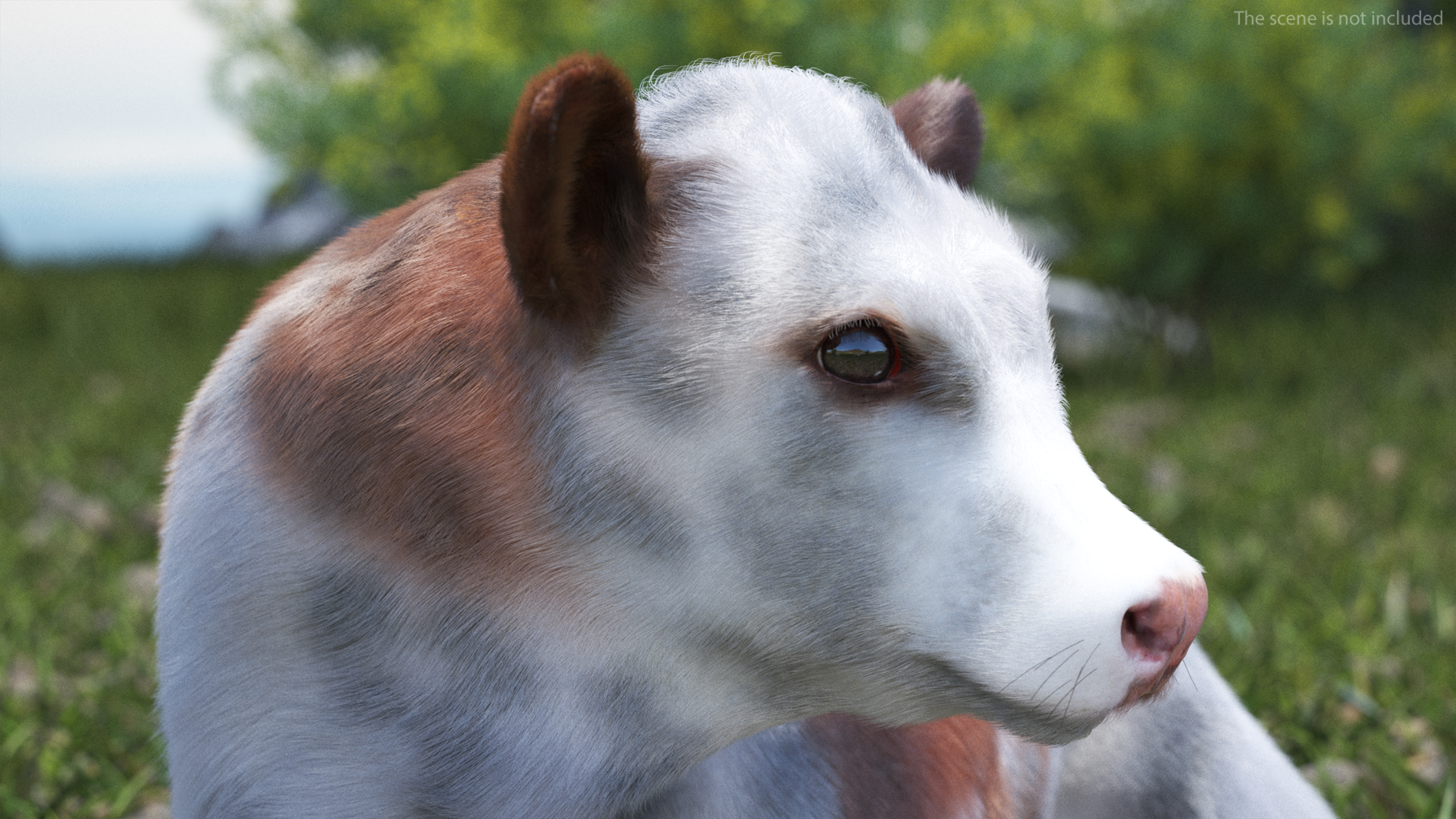 Cow Calf Fur Rigged 3D model