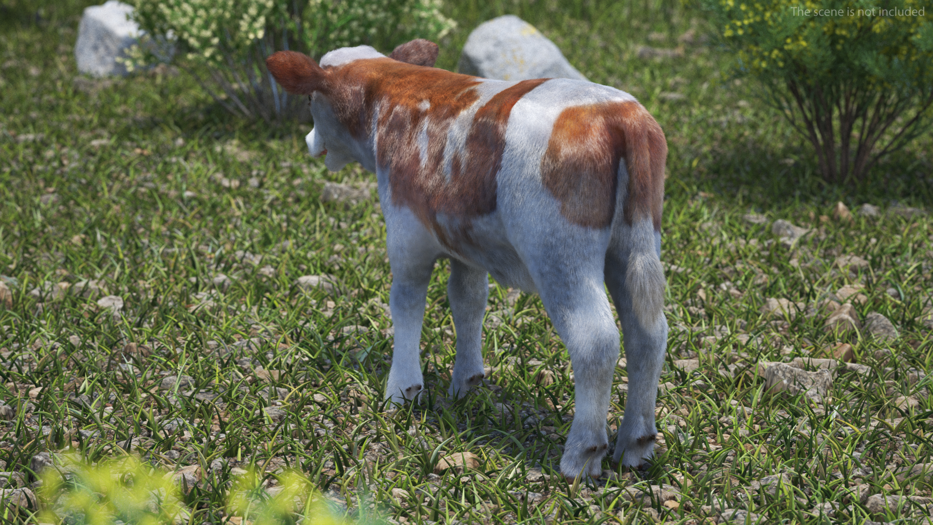 Cow Calf Fur Rigged 3D model