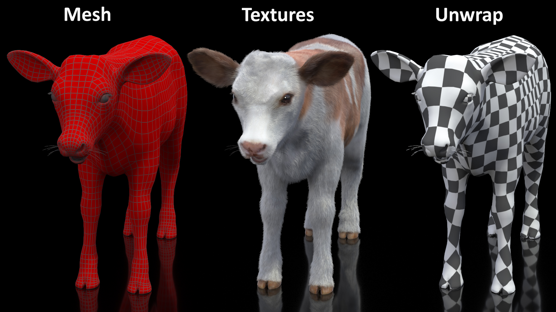 Cow Calf Fur Rigged 3D model