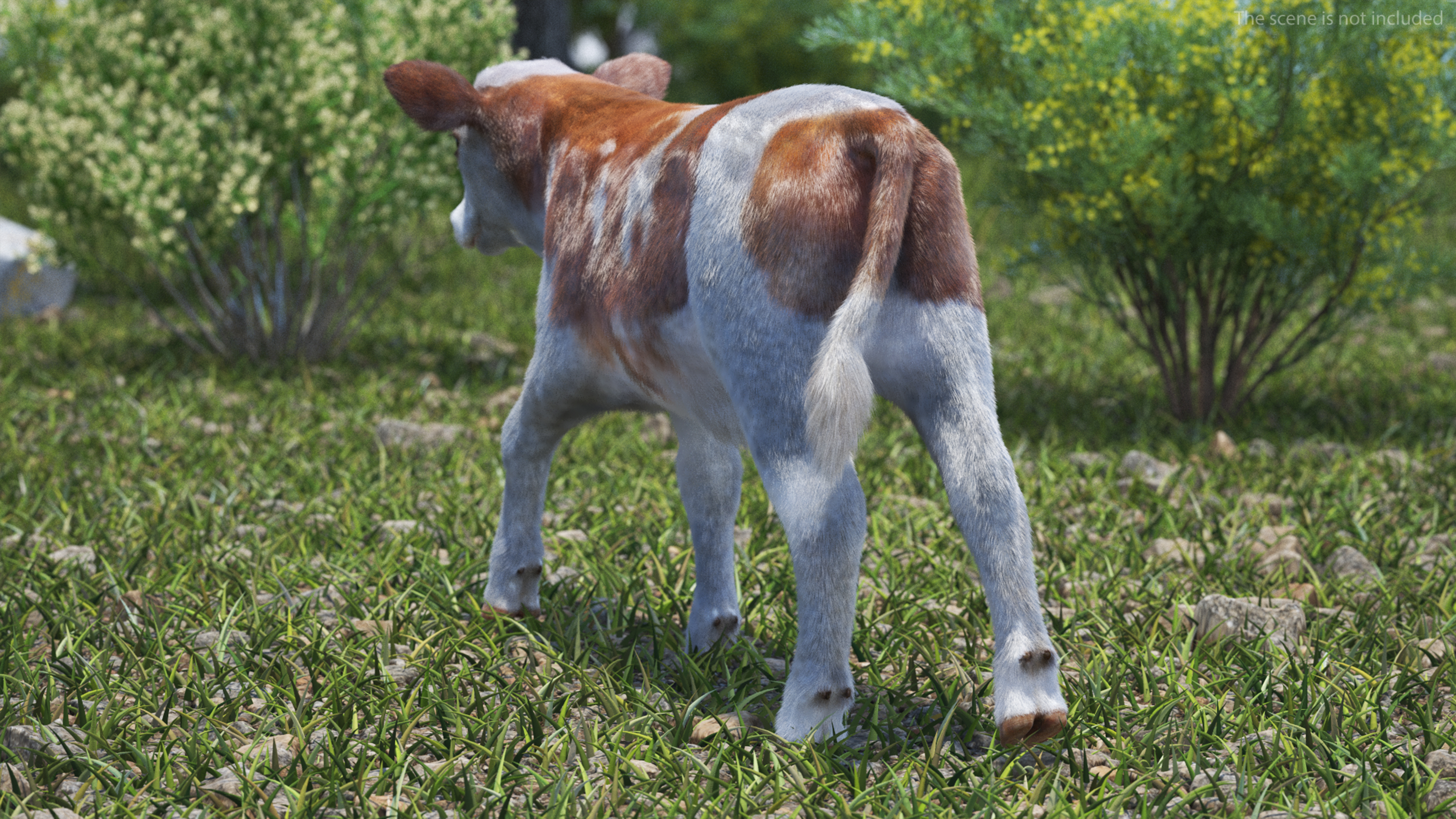 Cow Calf Fur Rigged 3D model