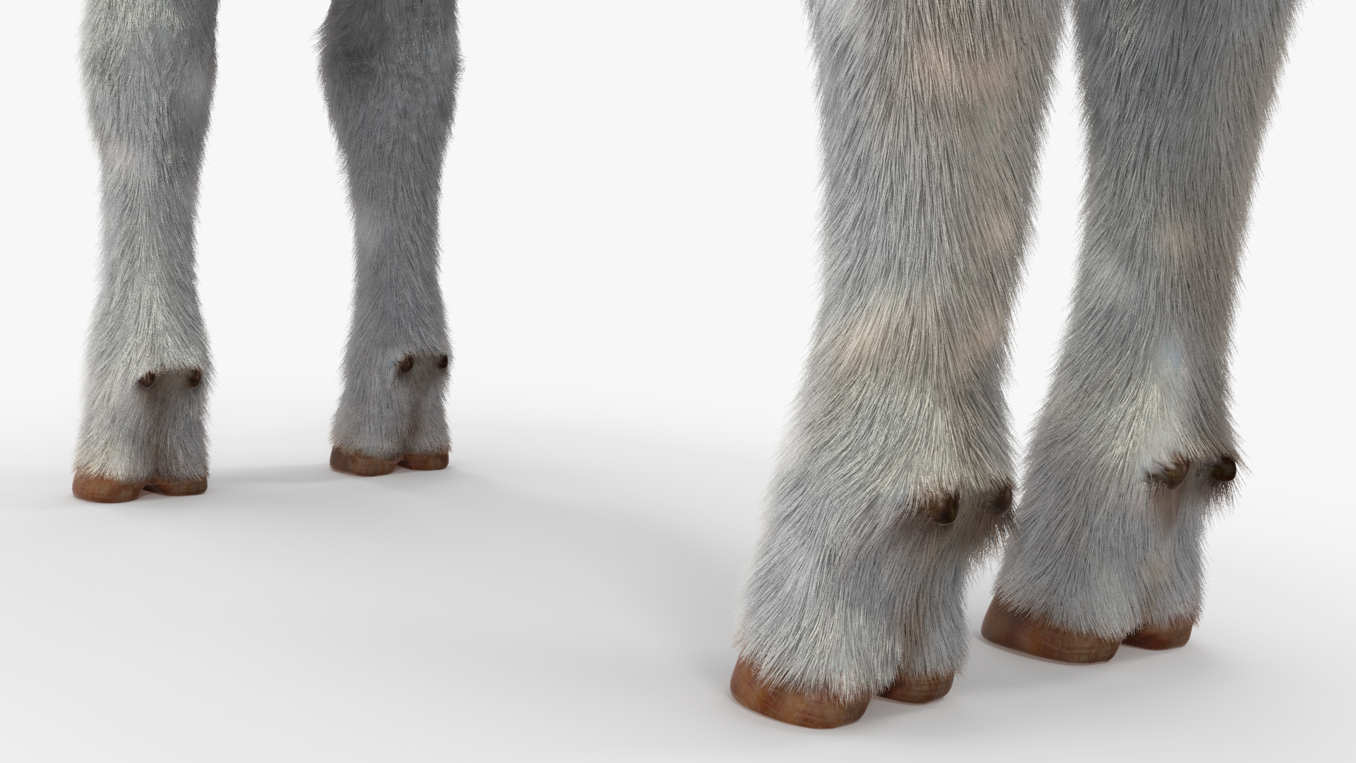 Cow Calf Fur Rigged 3D model