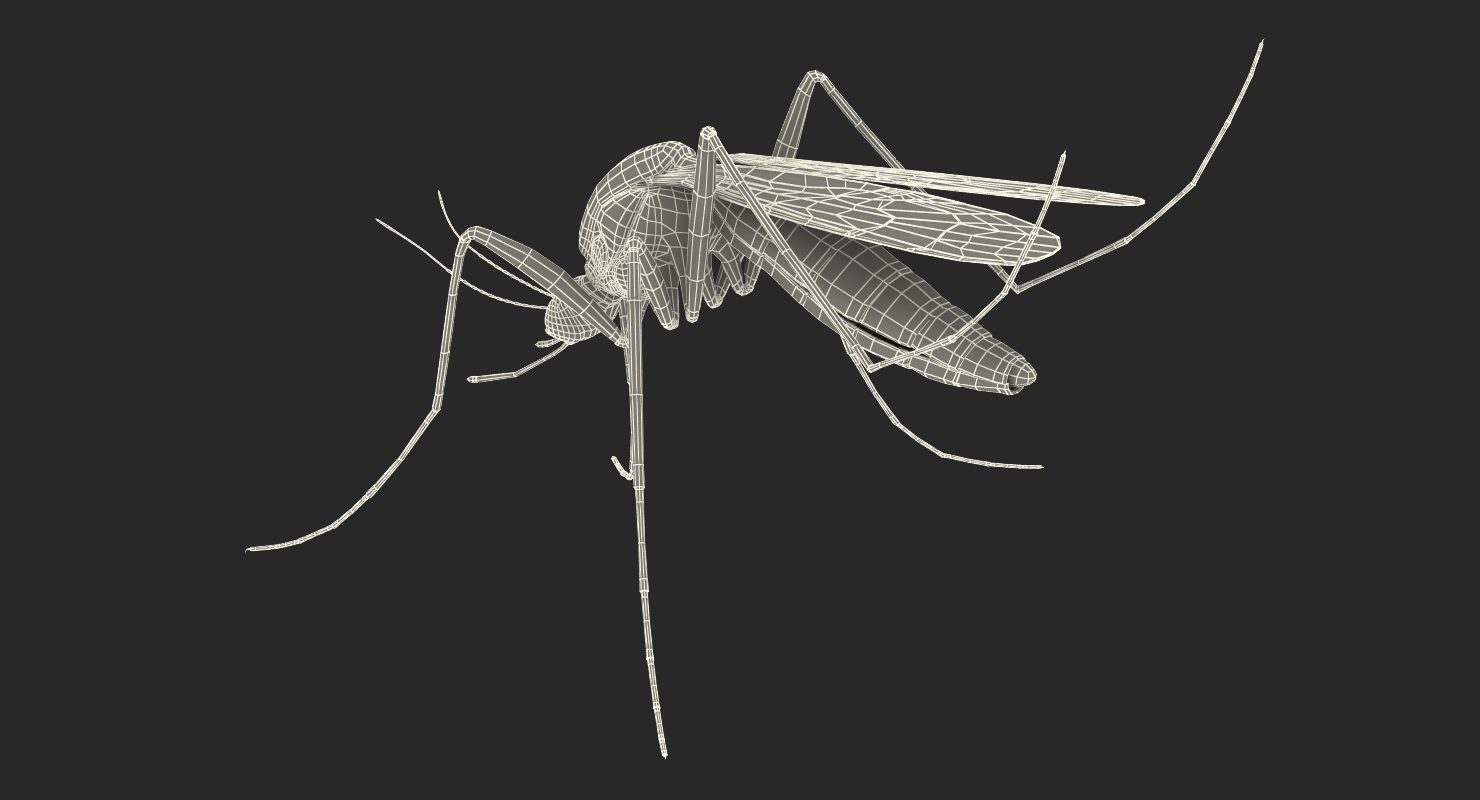 3D model Mosquito Pose 3