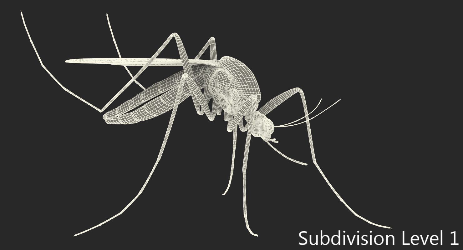 3D model Mosquito Pose 3
