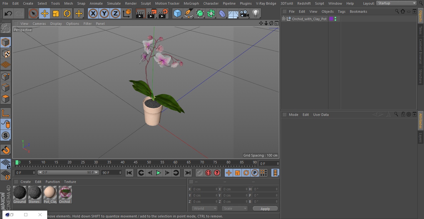 3D model Orchid with Clay Pot