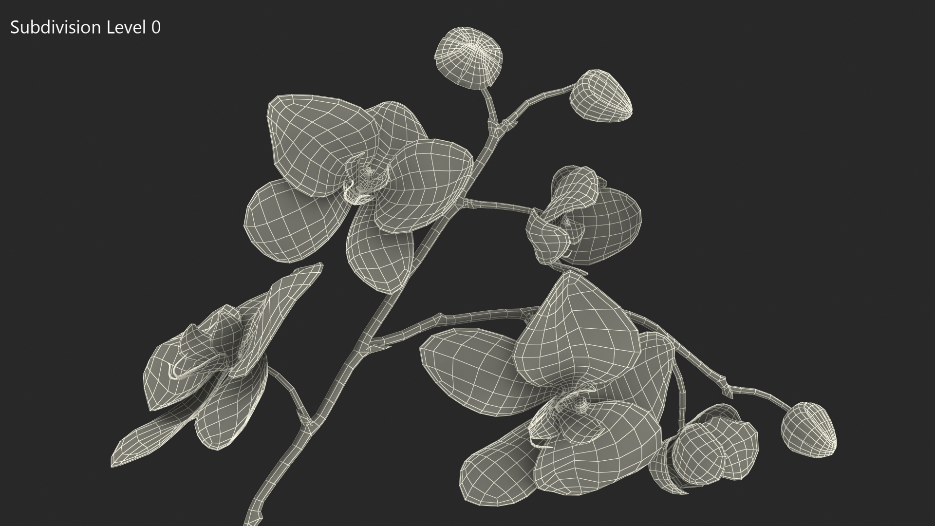 3D model Orchid with Clay Pot