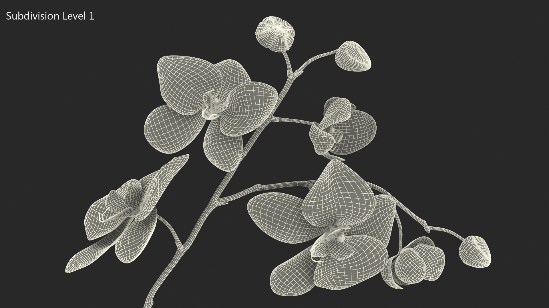 3D model Orchid with Clay Pot