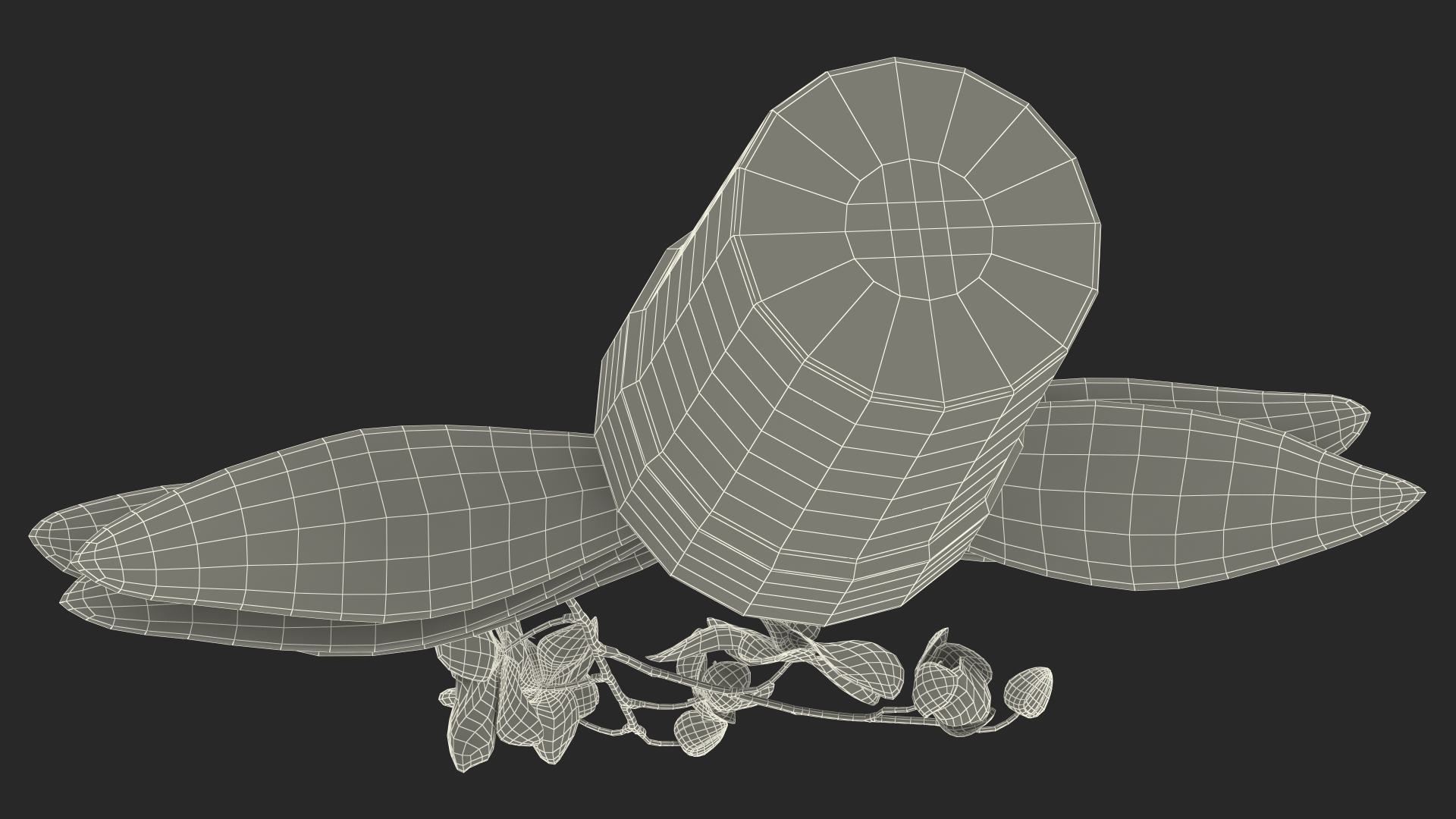 3D model Orchid with Clay Pot