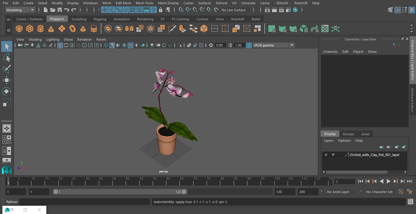 3D model Orchid with Clay Pot
