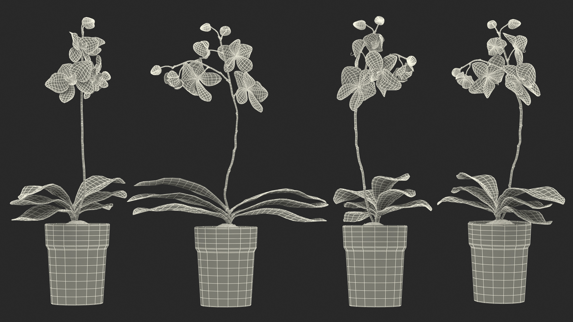 3D model Orchid with Clay Pot
