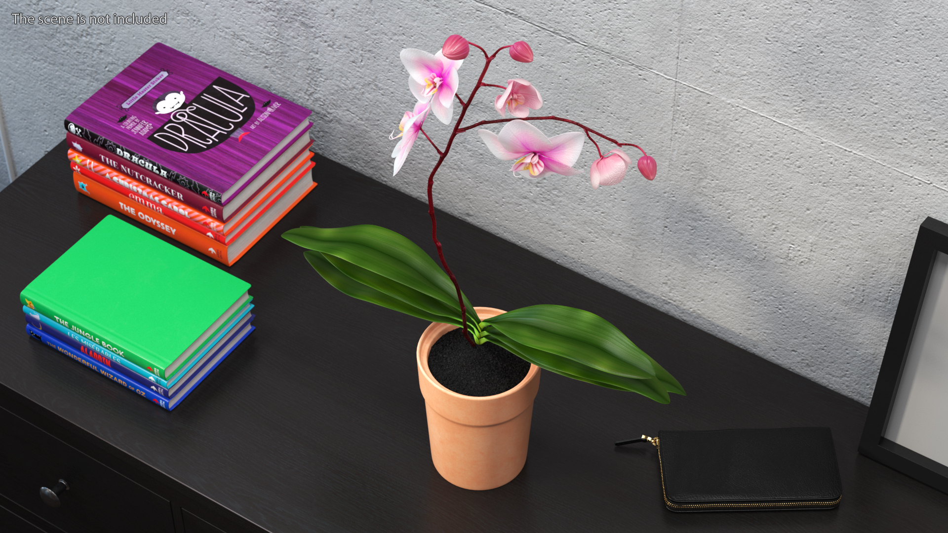 3D model Orchid with Clay Pot