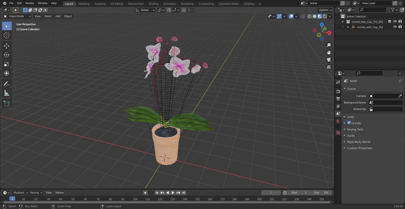 3D model Orchid with Clay Pot