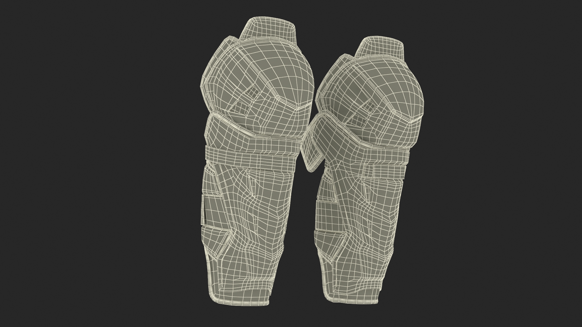 3D model Senior Hockey Shin Guards