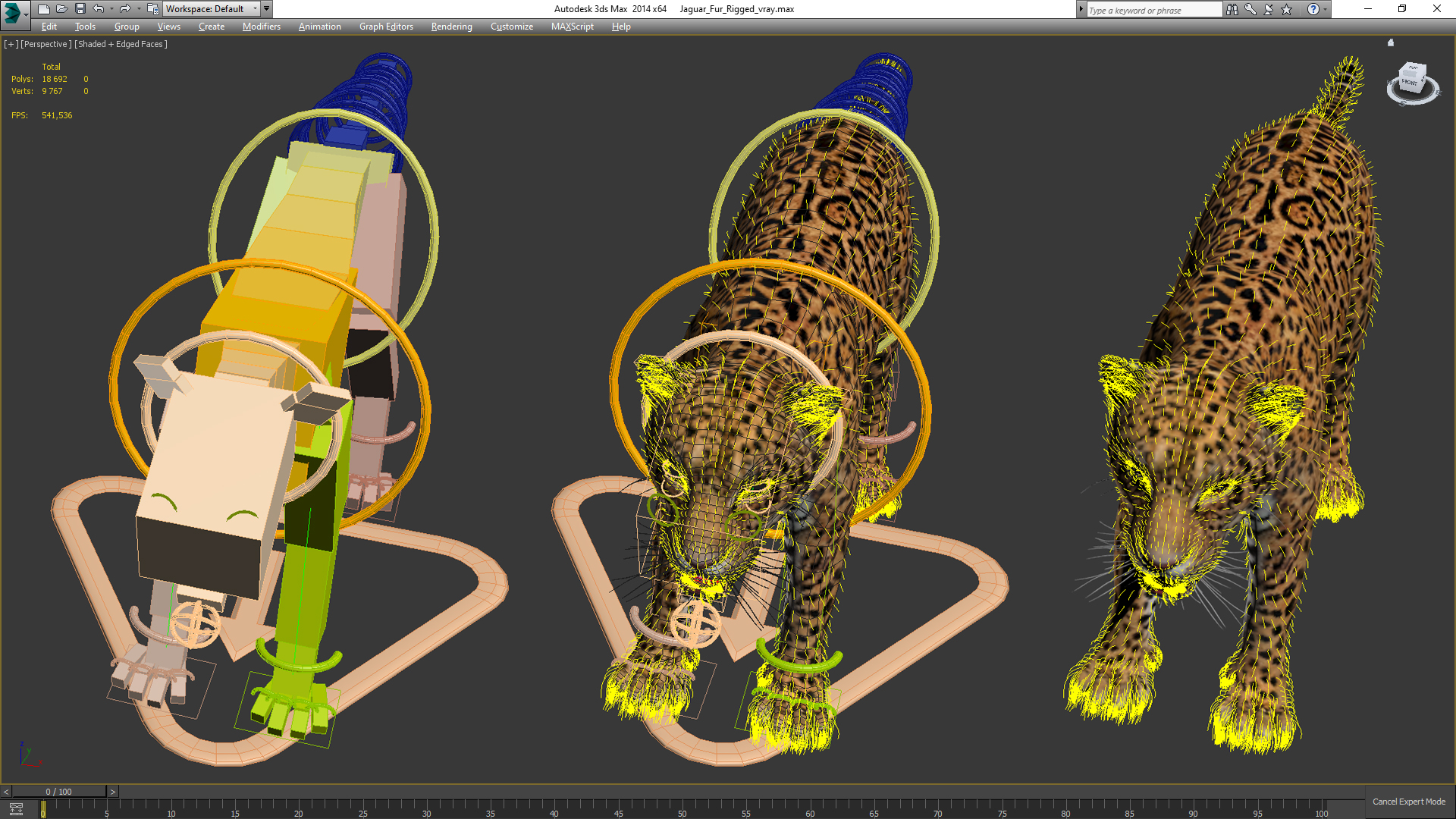 Jaguar Fur Rigged 3D
