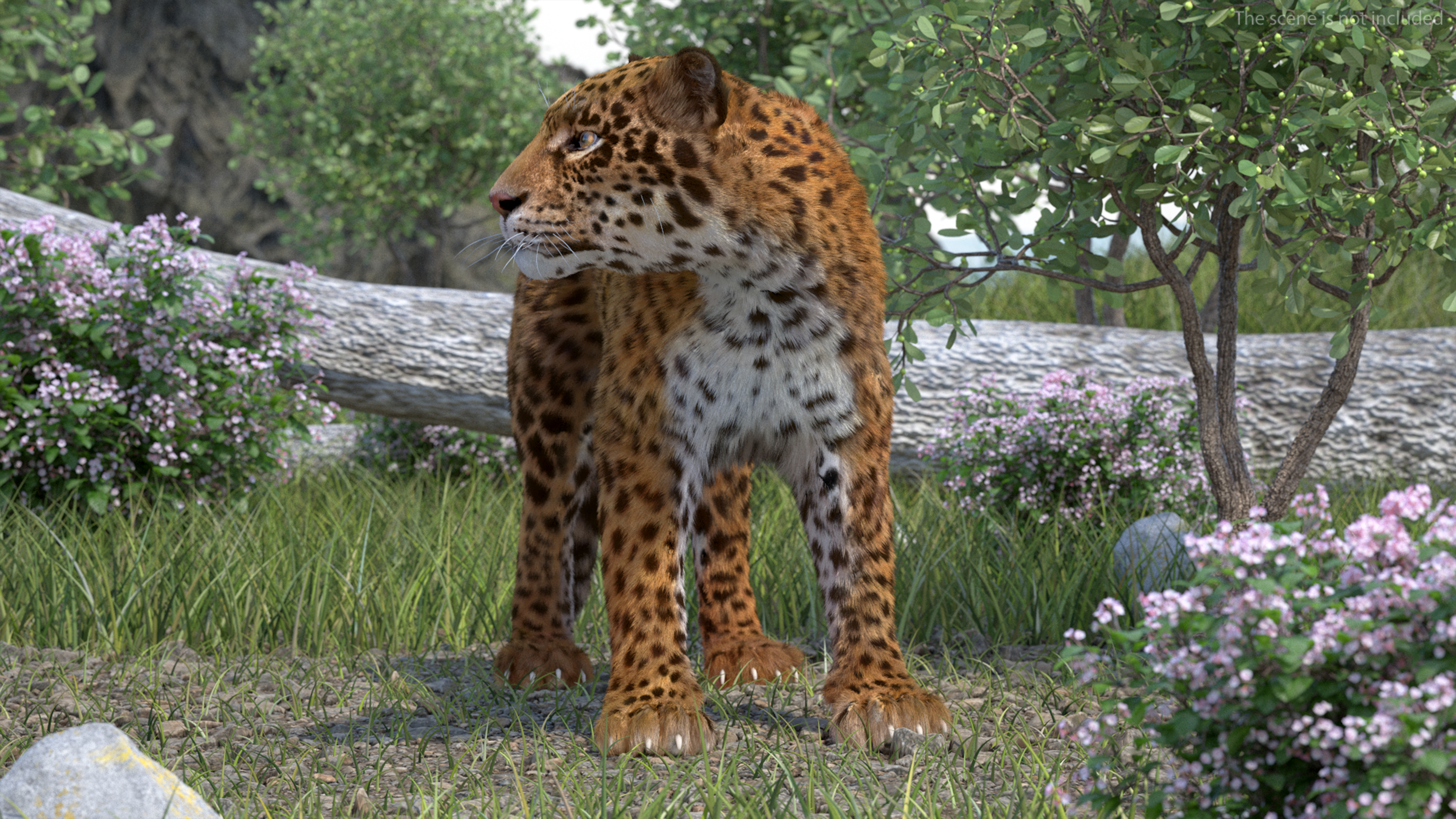 Jaguar Fur Rigged 3D