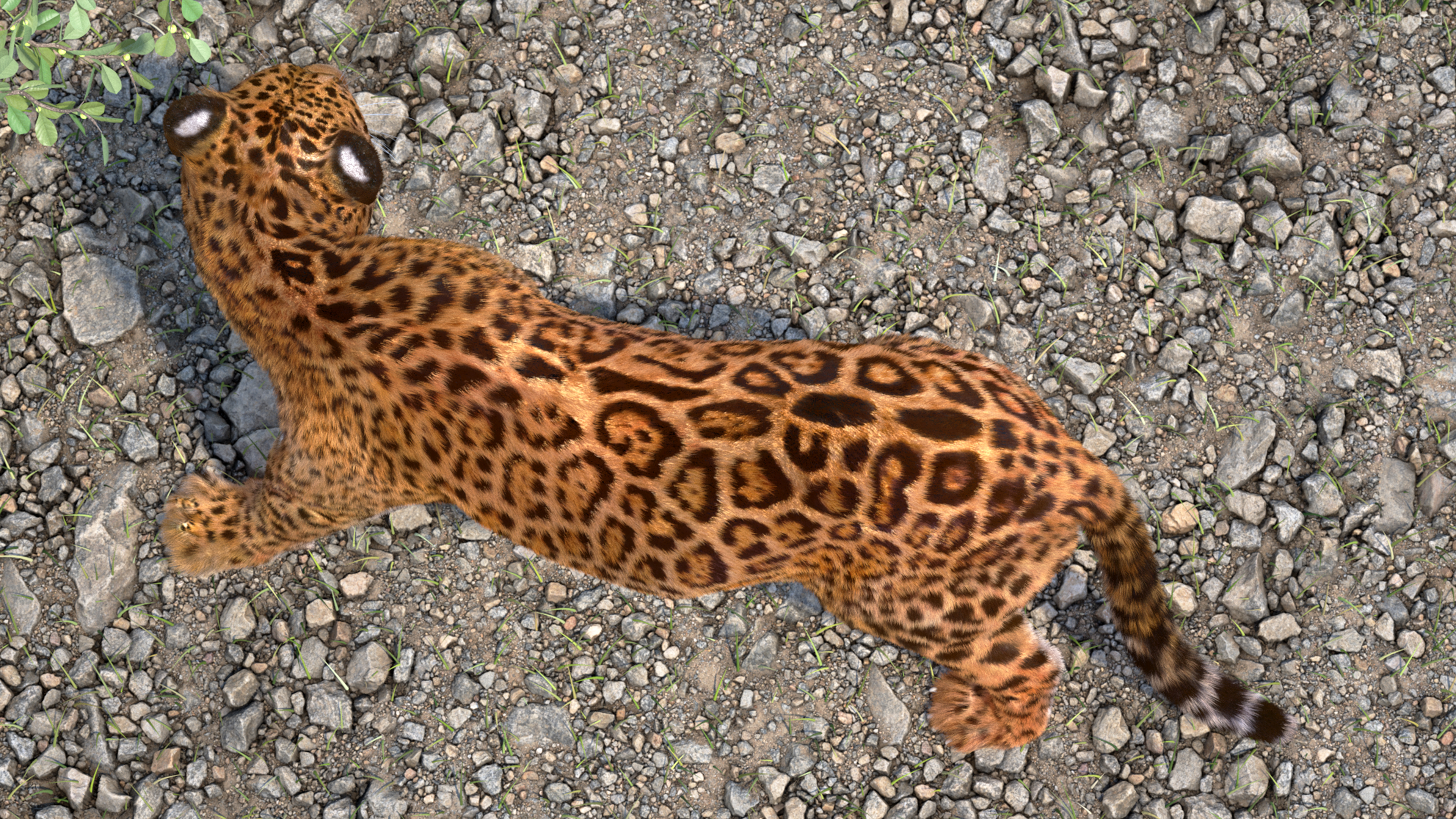 Jaguar Fur Rigged 3D