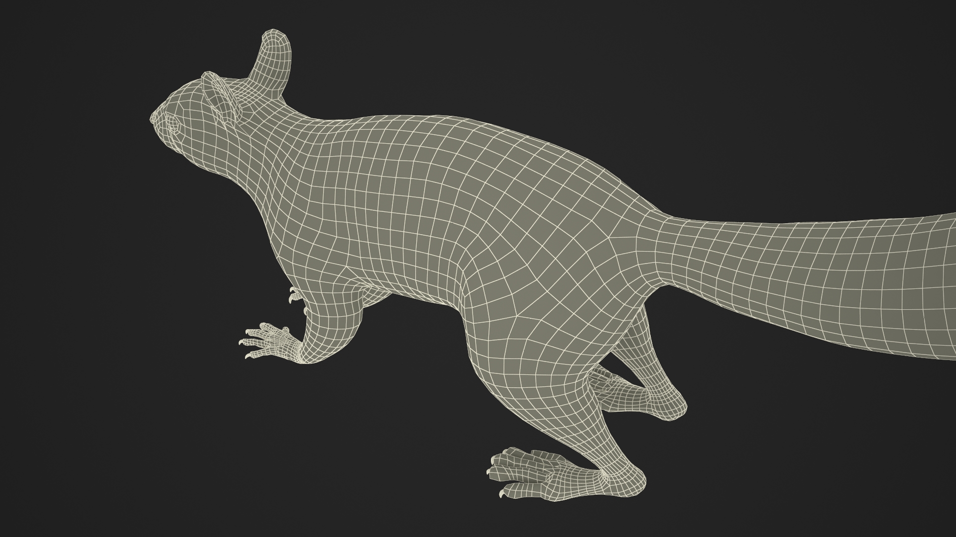 3D Gray Squirrel model