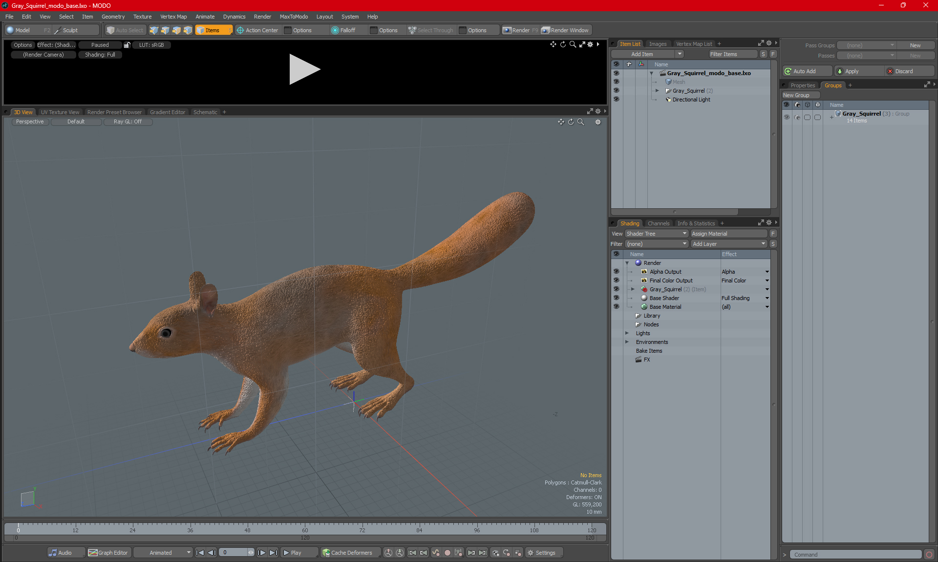 3D Gray Squirrel model