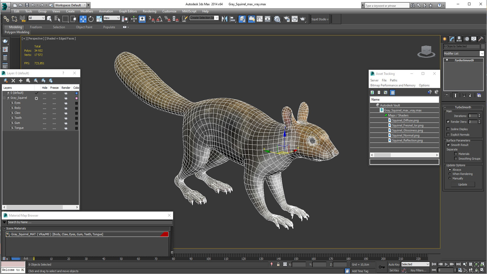 3D Gray Squirrel model