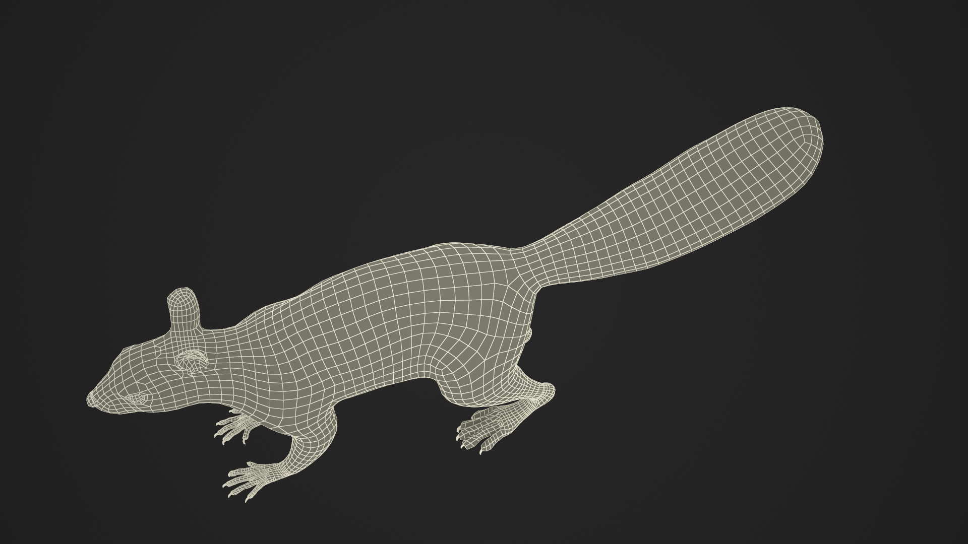 3D Gray Squirrel model
