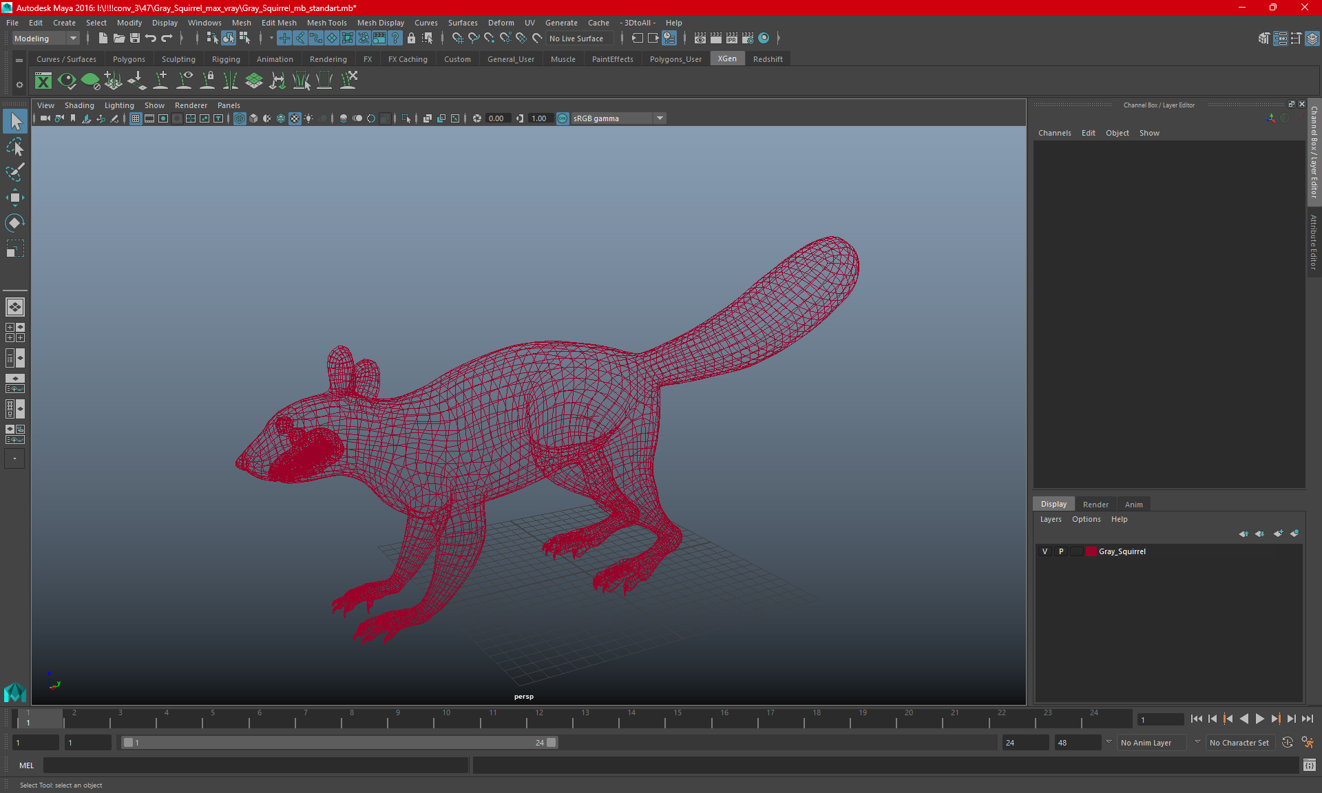 3D Gray Squirrel model
