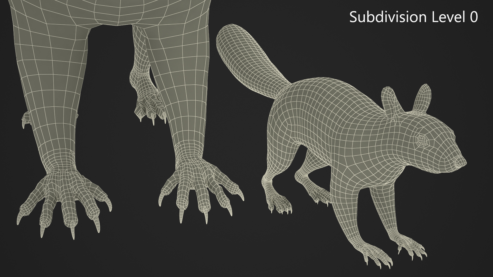 3D Gray Squirrel model