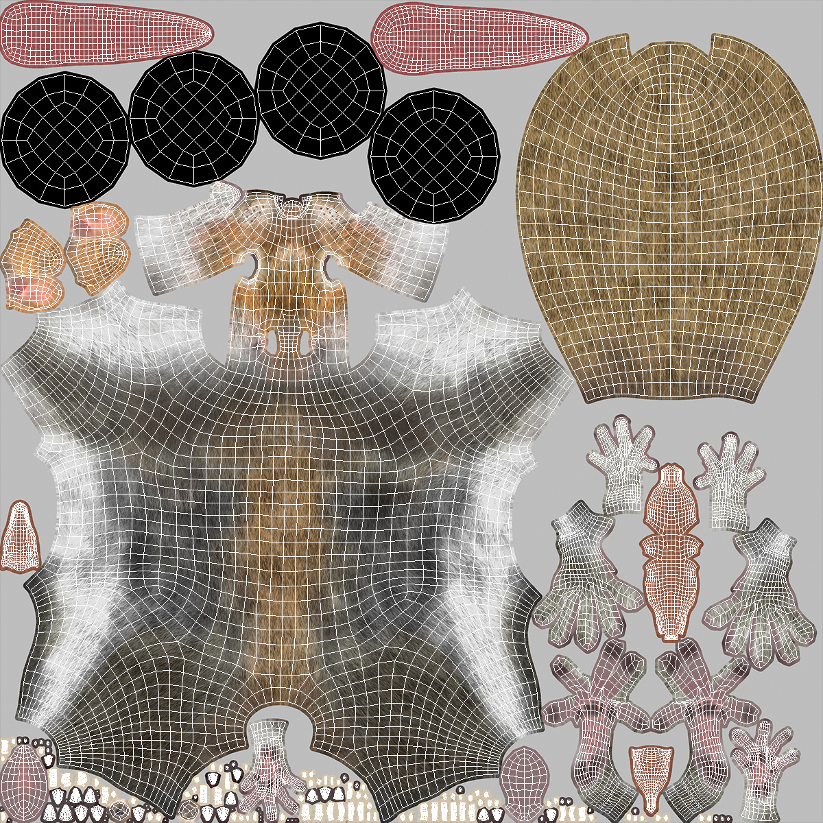 3D Gray Squirrel model