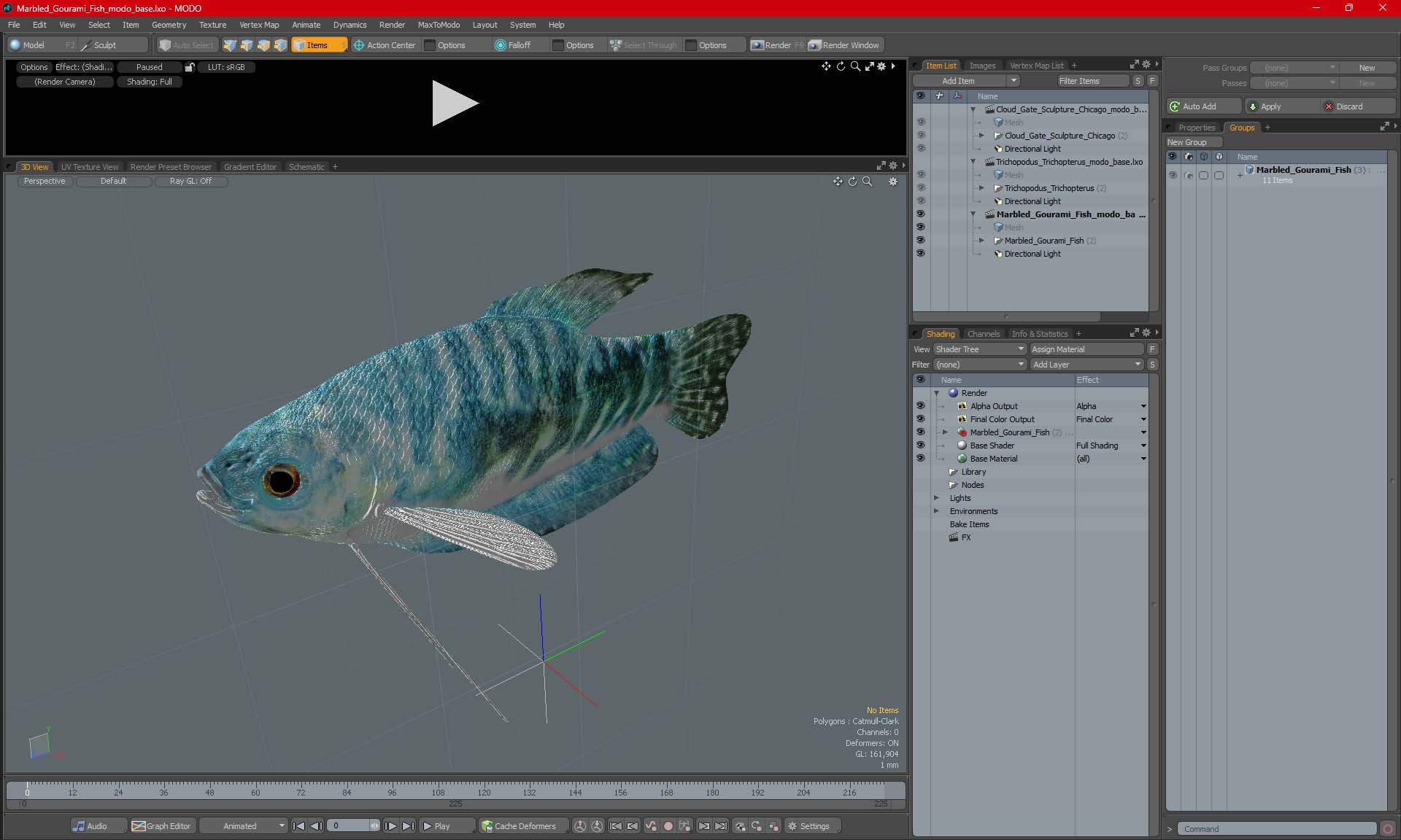 3D model Marbled Gourami Fish