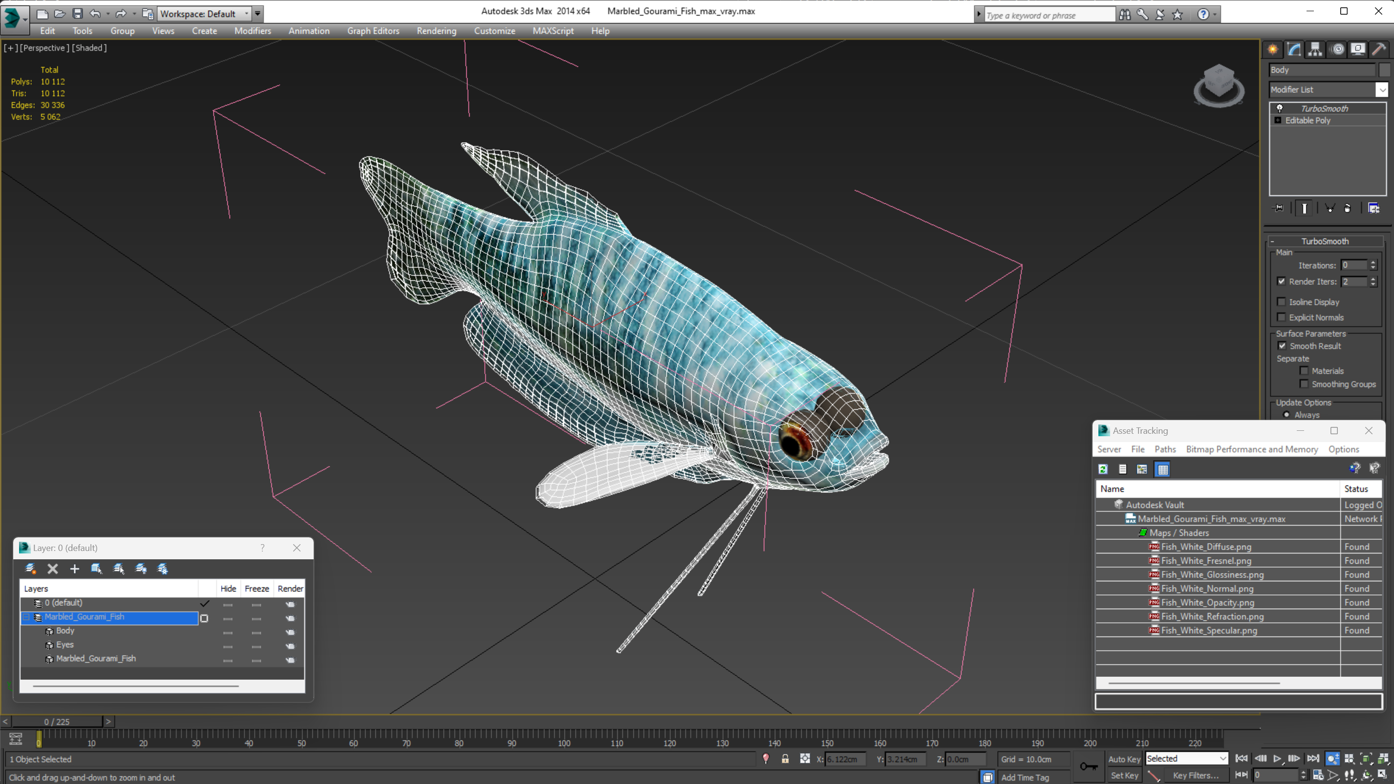 3D model Marbled Gourami Fish
