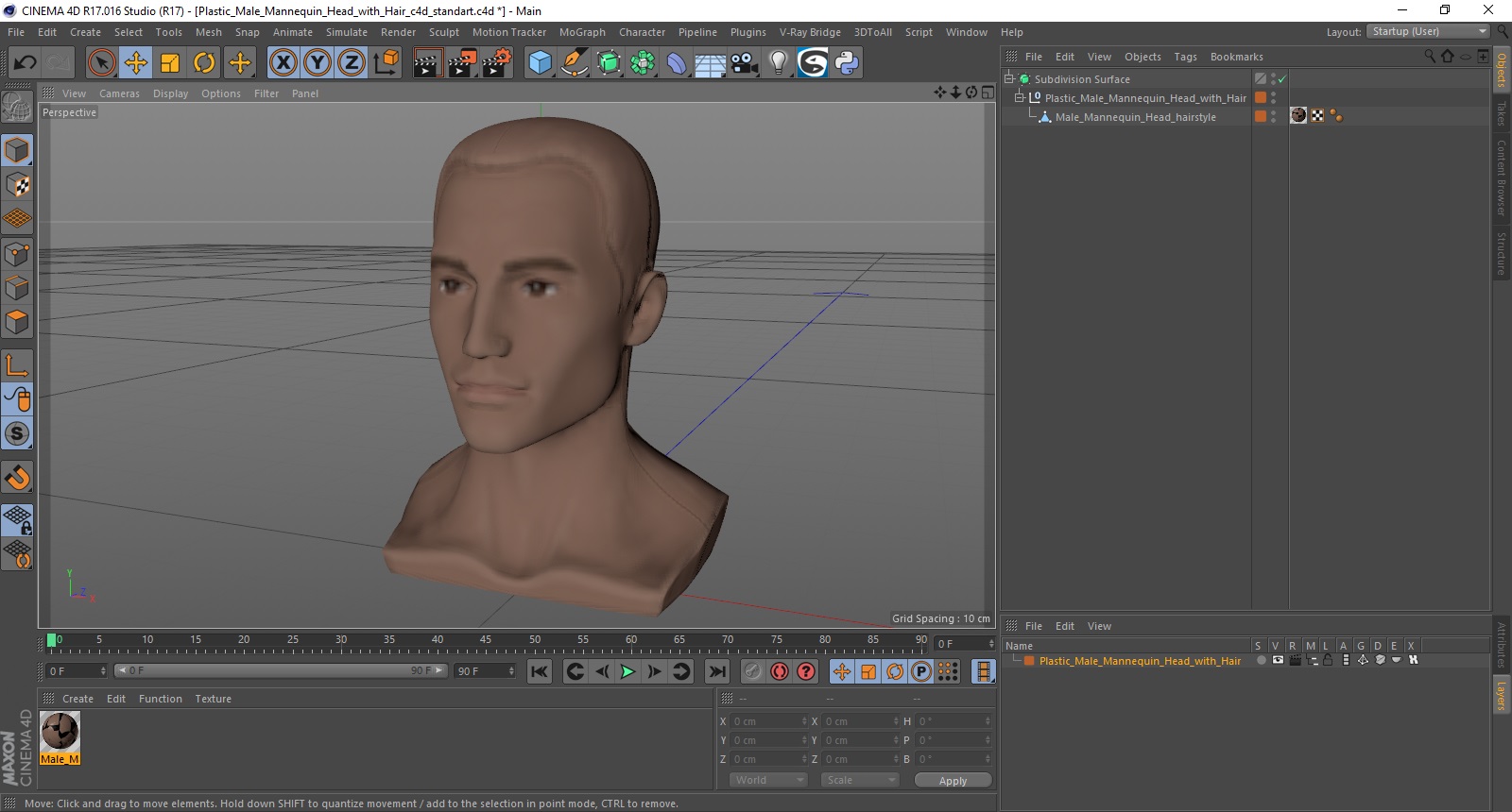 Plastic Male Mannequin Head with Hair 3D