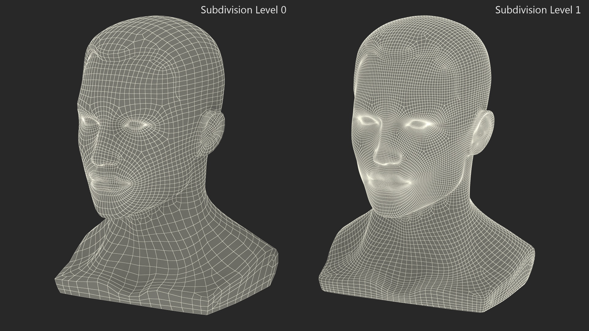 Plastic Male Mannequin Head with Hair 3D