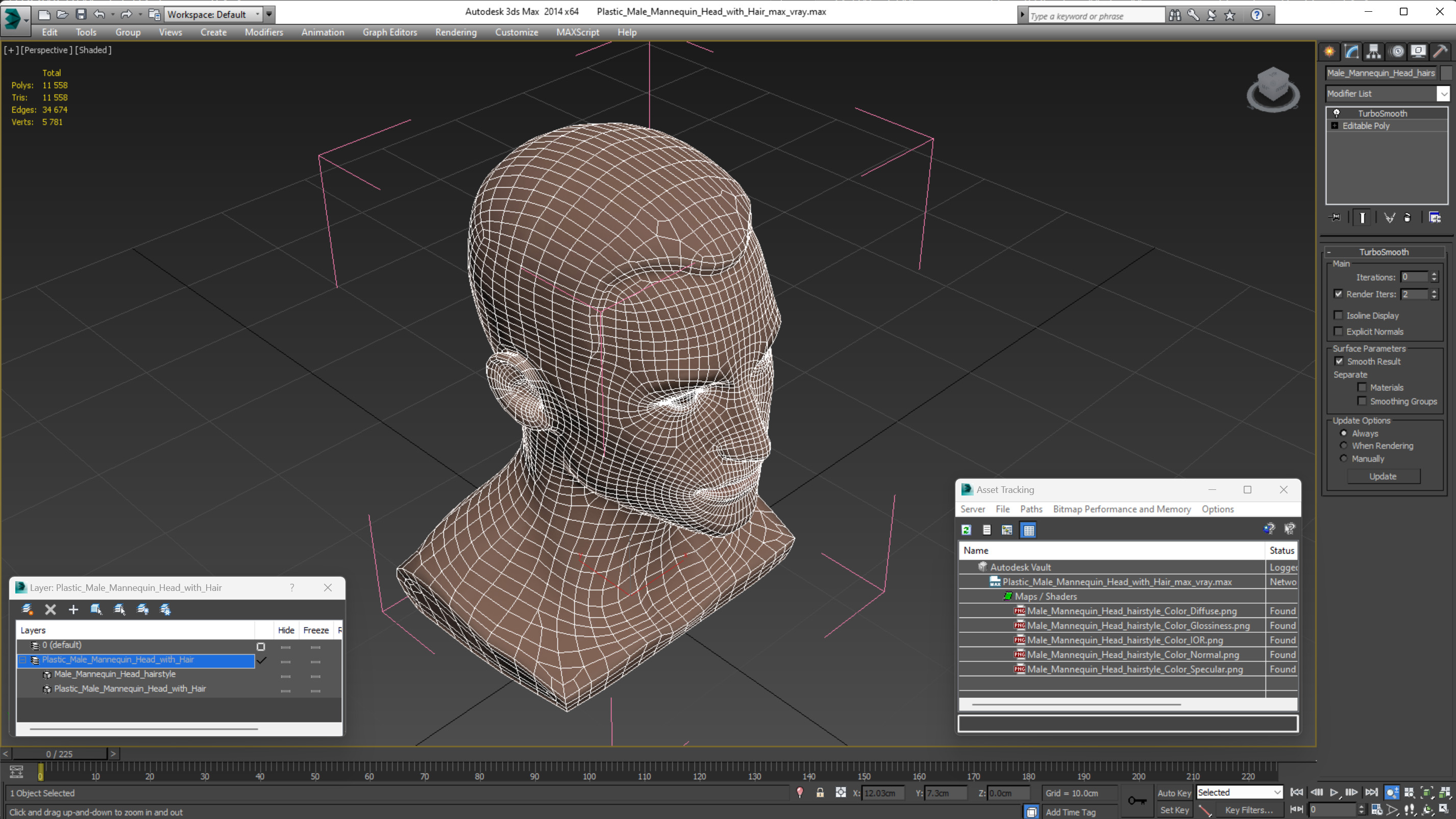 Plastic Male Mannequin Head with Hair 3D